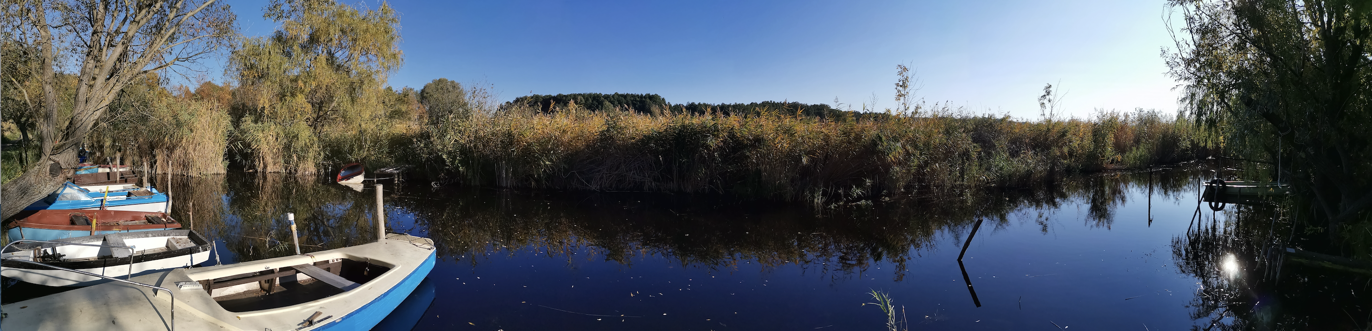 20201020_kikoto_lowres